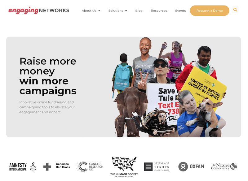 Fundraising-Plattformen Engaging Networks Sintfluth Campaigning